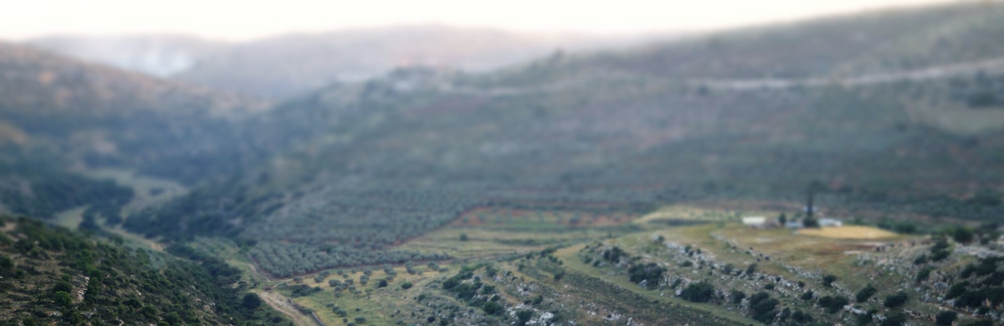 shomron shomron