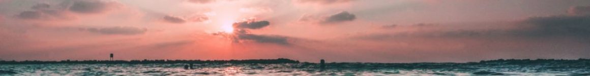 background16